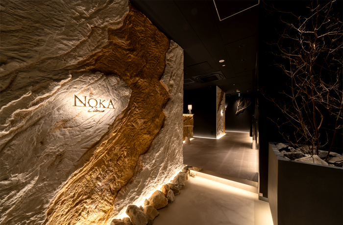 NOKA CLINIC